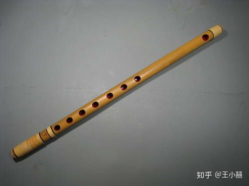 山川異域 風(fēng)月同天——日本樂器在援助抗疫國(guó)家樂器展中的風(fēng)采