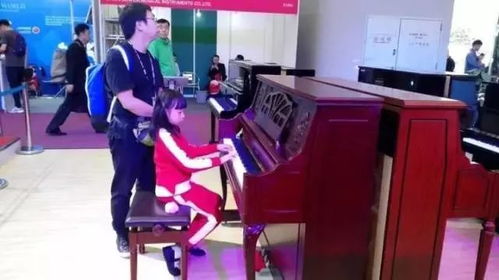 聚焦Music China 2017 中國(guó)（上海）國(guó)際樂器展覽會(huì)深度報(bào)道（三）——樂器篇