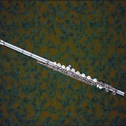 爾文樂器加盟全解析 條件、費(fèi)用與聯(lián)系方式